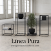 Linea pura